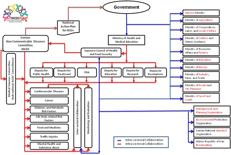 National action plan for non-communicable diseases prevention and control in Iran; a response to emerging epidemic